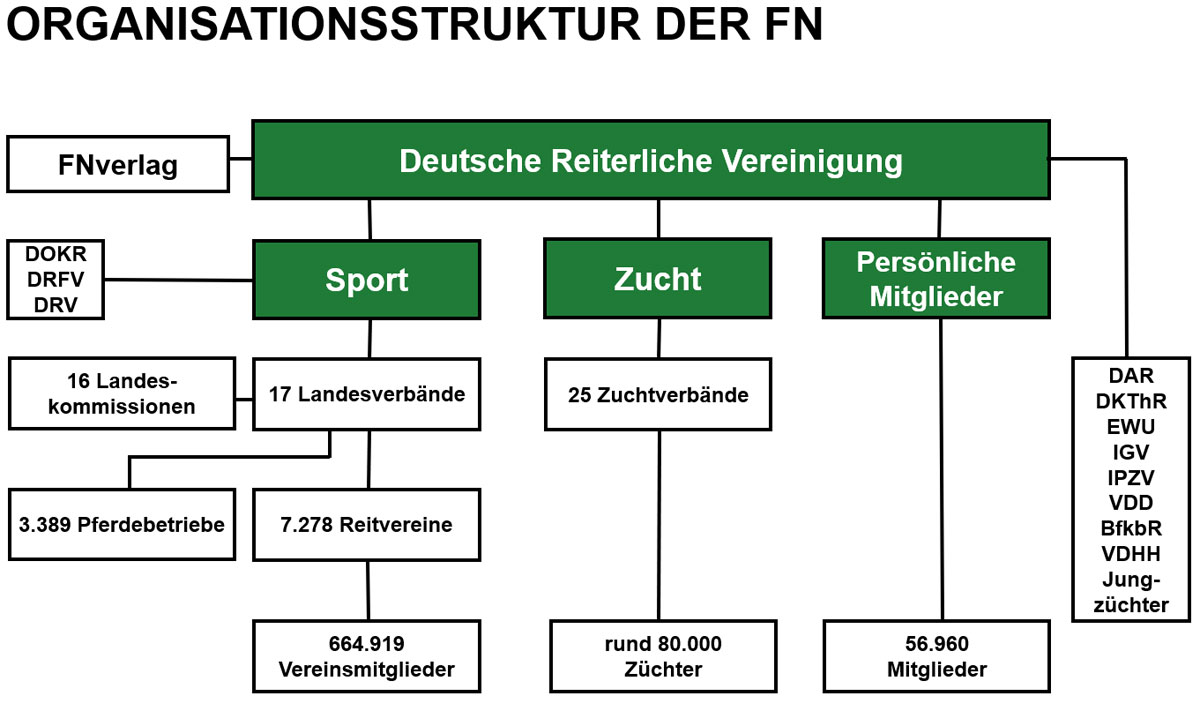 Organisationsstruktur der Deutschen Reiterlichen Vereinigung (FN)